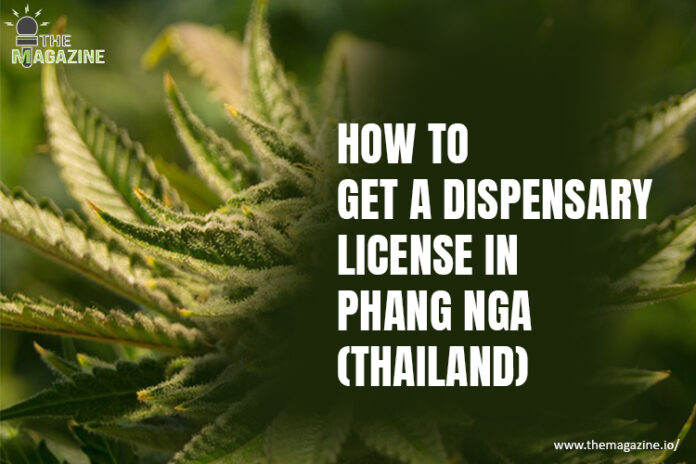 How to get a dispensary license in Phang Nga (Thailand)